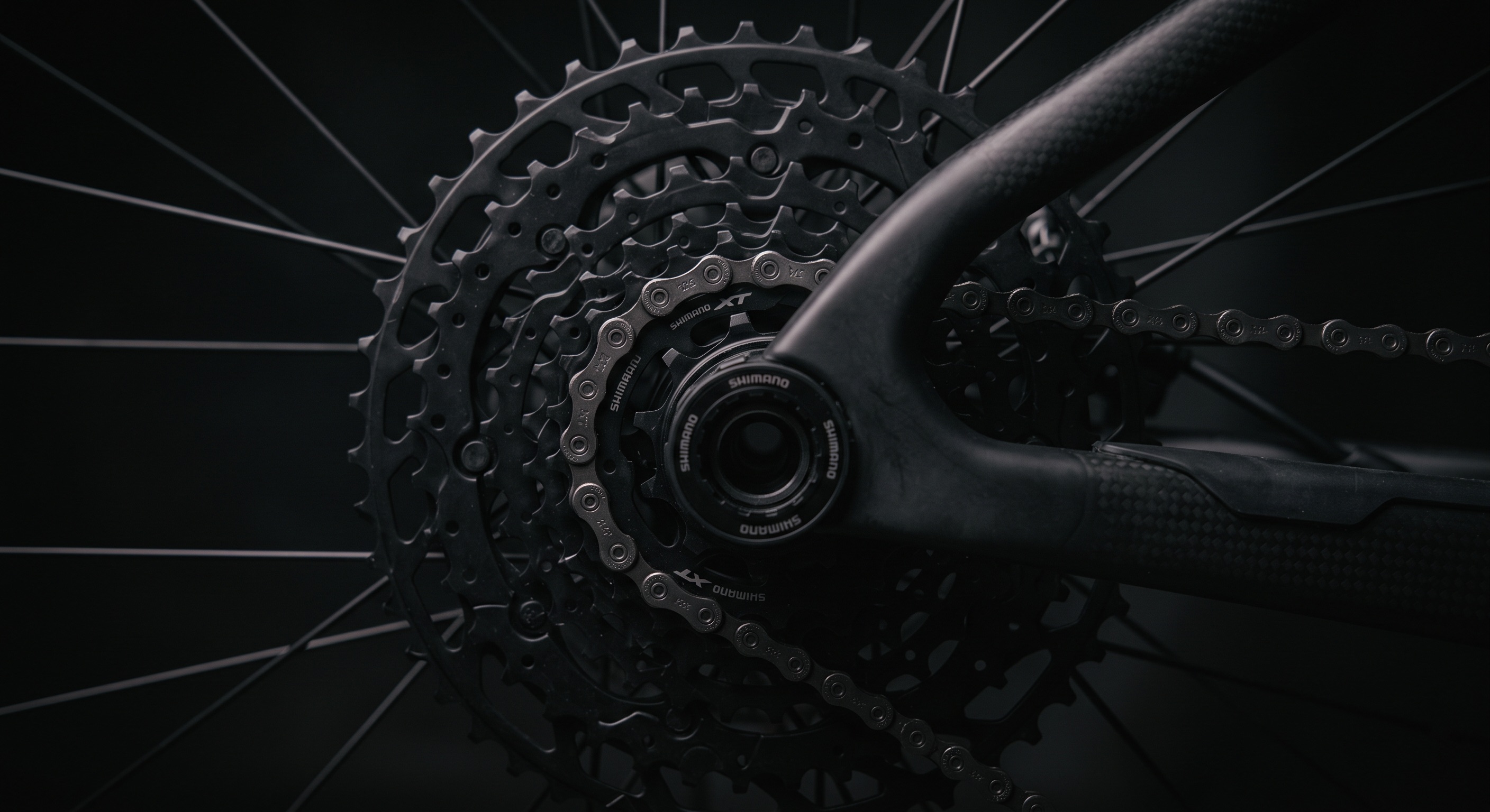 Close-up of a bicycle cassette and chain